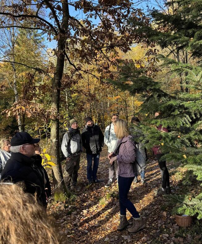 BusinessMehrzumThemaBild1